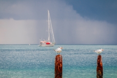 Dry-Tortugas-46