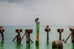 Dry-Tortugas-49