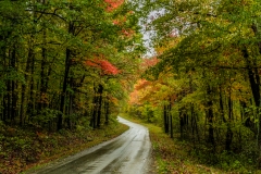 Fall Road 1