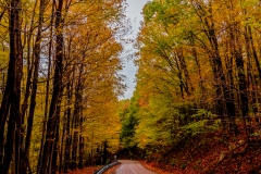 Road - Fall 1