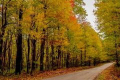 Road - Fall 3