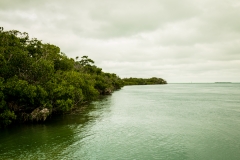 Florida-Bay-1