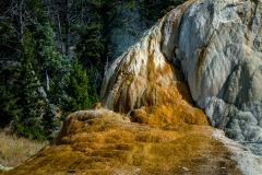 Orange-Mound-Spring