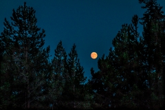 Porcelain-Basin-View-of-Moon