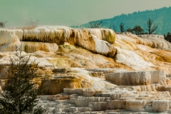 Spring-in-Mammoth-Hot-Springs-1