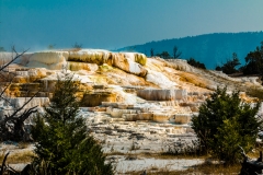 Spring-in-Mammoth-Hot-Springs