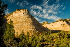 CheckerBoard-Mesa-1