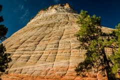 CheckerBoard-Mesa-2