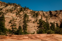 Scenic-Highway-Zion-Canyon-National-Park-1