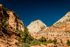 Scenic-Highway-Zion-Canyon-National-Park-2