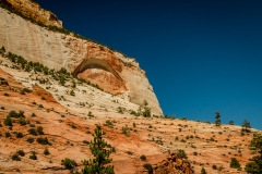 Scenic-Highway-Zion-Canyon-National-Park-3