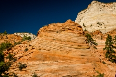 Scenic-Highway-Zion-Canyon-National-Park-6