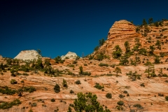 Scenic-Highway-Zion-Canyon-National-Park