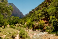 Zion-Canyon-National-Park-1