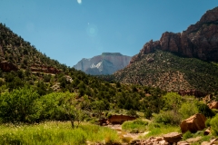 Zion-National-Park-2