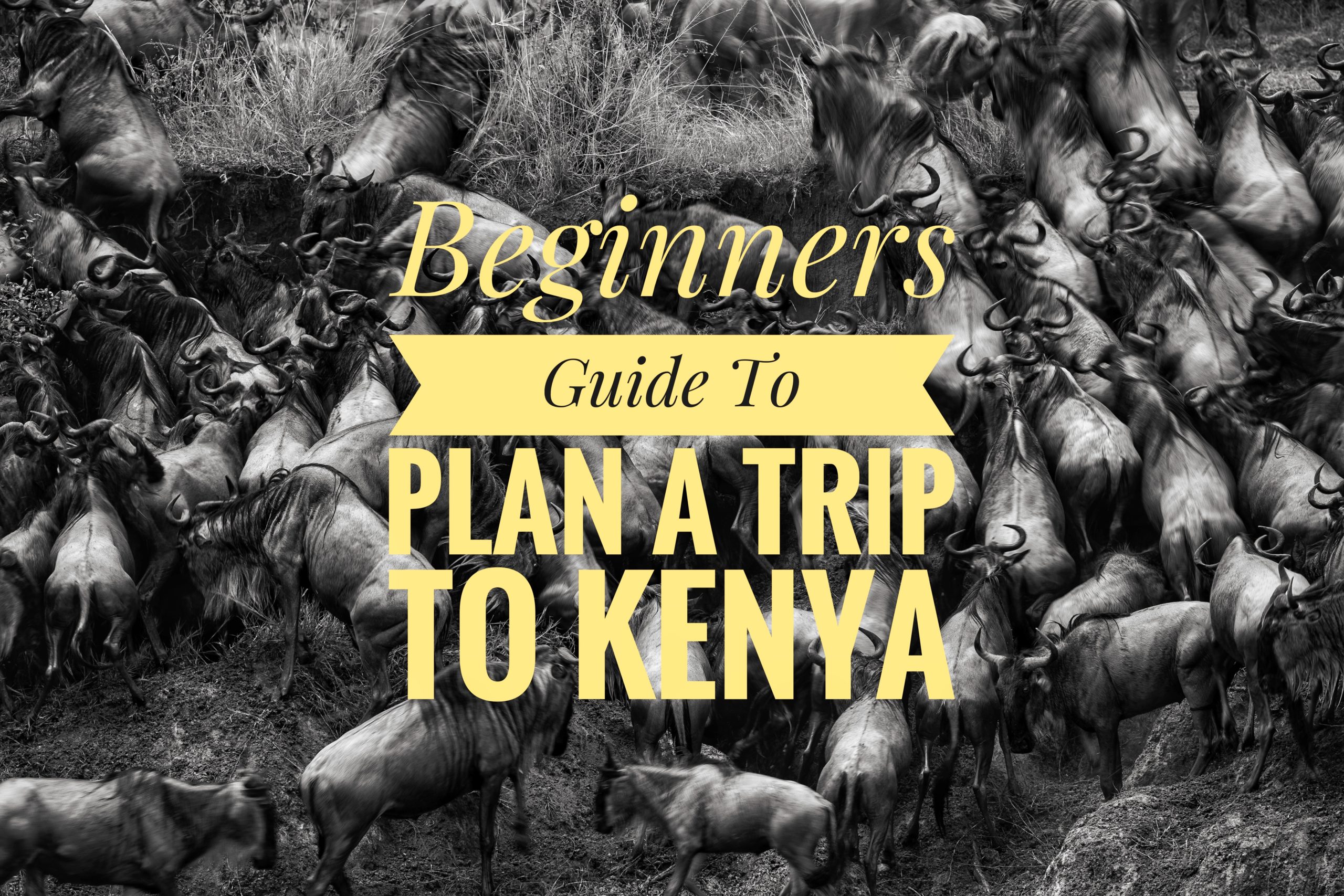 How to plan a trip to Kenya? — KarthisKitchenStudio