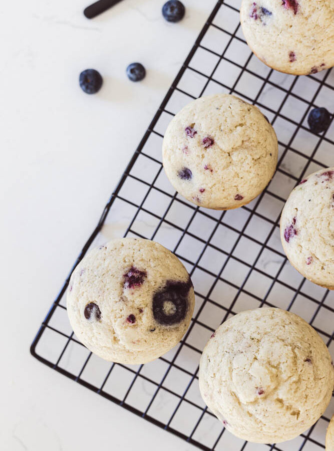 Berry Muffins